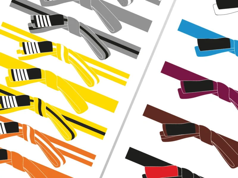 Meiji Martial Arts Jiu Jitsu Curriculum