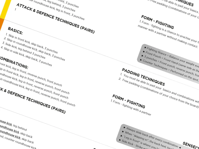 Meiji Martial Arts Kickboxing Curriculum