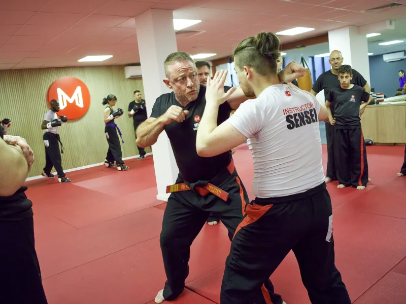 Master Mark Roberts in a demonstration