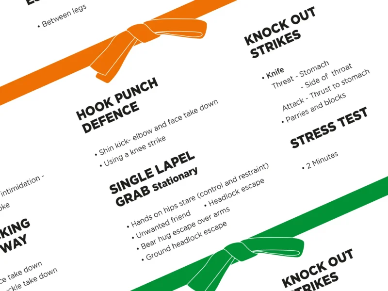 Meiji Martial Arts Krav Maga Curriculum