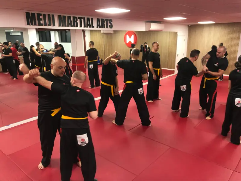 People training martial arts in the Meiji Dojo